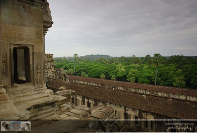 Greenery around Angkor Wat