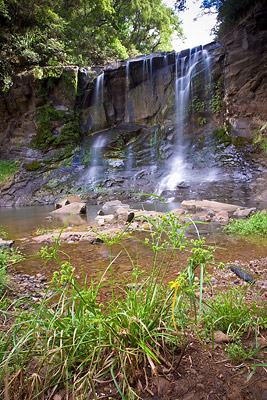 Mokoroa Falls, Waitakere