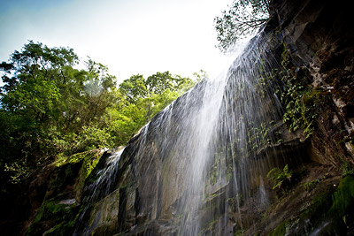 Mokoroa Falls, Waitakere